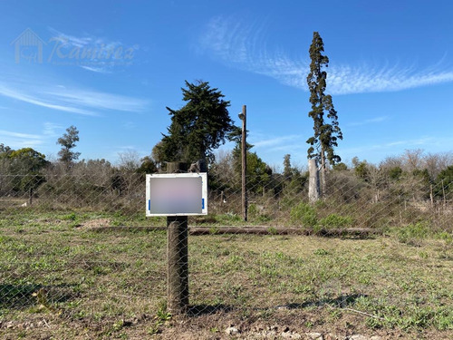 Terreno Y Lote En Venta - La Reja, Moreno