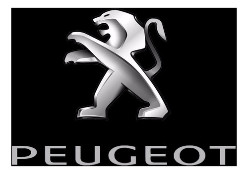 Peugeot Service Box 2013 Taller Reparacion (español)