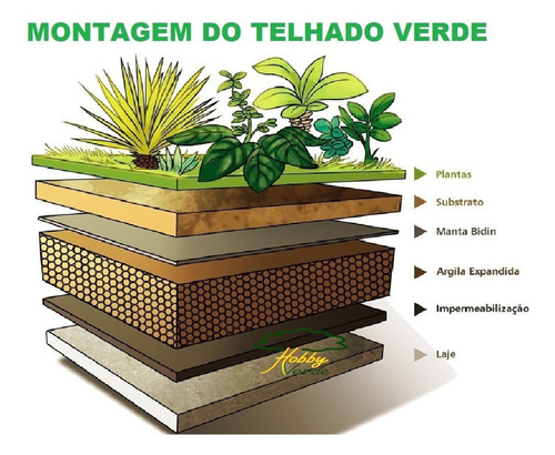 Argila Expandida Cinasita 2215 Orquídea Rosa Do Deserto 30 L | Parcelamento  sem juros