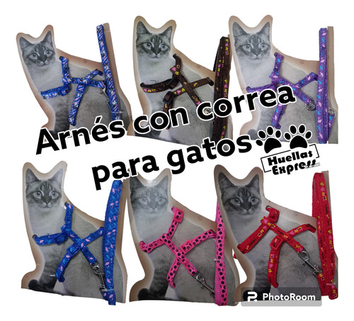 Arnés Con Correa Para Gatos
