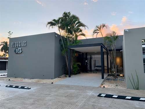 Imagen 3 de 14 de Nuevas Oficinas Ejecutivas En Buenavista