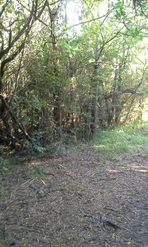 Venta Chacra Ruta 2, Con Acceso Al Rio Negro