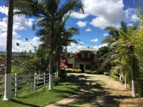 Imagen 2 de 8 de Finca En Marinilla 20 Mil Mts Via Peñol 750 Millones