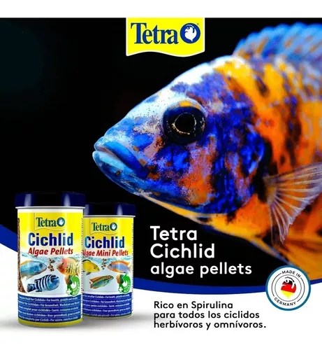 Tetra Cichlid Algae: Tetra