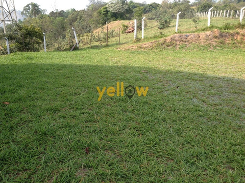 Imagem 8 de 15 de Terreno - Varadouro - Te-1210