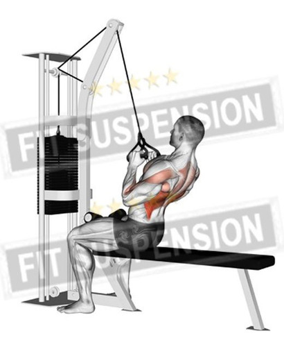 Imagem 3 de 7 de Manoplas Exercícios De Corda Para Costas Triângulo Forte