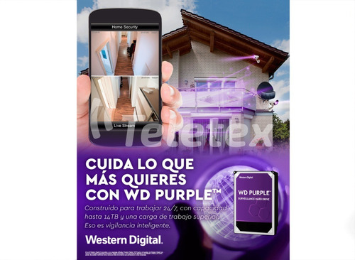 Tarjeta de memoria Western Digital WDD032G1P0A WD Purple 32GB