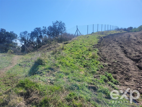 Venta De Parcela, Camino A Zapallar Curicó, 6.142 M2