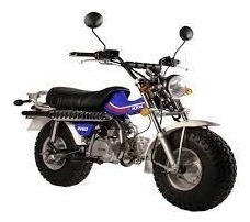 Imagen 8 de 8 de Mondial Rv 125