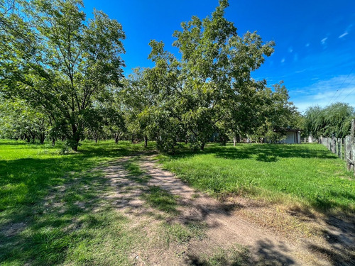 Campo A La Venta En Santa Rosa De Calchines