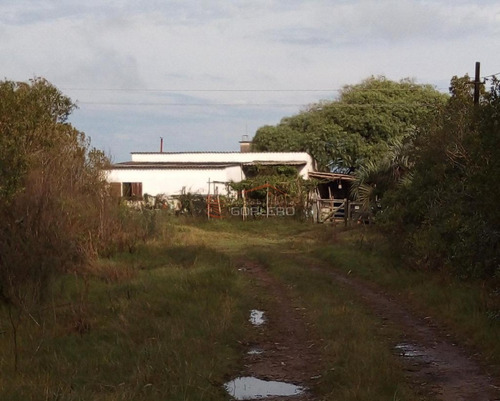 Campo A La Venta En Rocha, Castillos, Ganadero Turístico 67 Hás- Ref: 27063