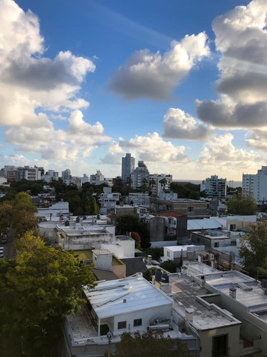 Se Alquila Lindo Apartamento En Zona Del Parque Rodo.