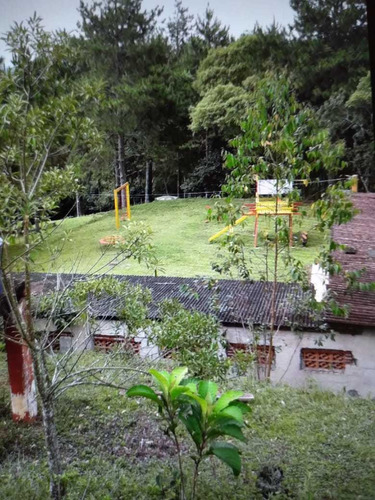 Imagem 15 de 30 de Chácara À Venda, Chácara Boa Vista Palmeiras, Suzano, Sp - Sp - Ba0003_yamamo