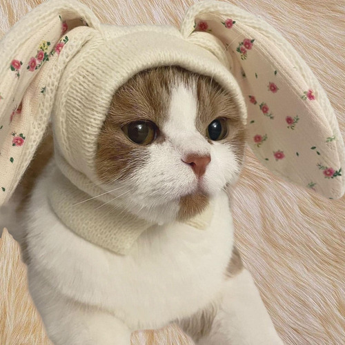 Gorro Cálido Para Gato, Gorro Para Mascota, Disfraz De
