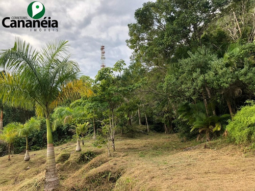 Ótimo Terreno A Venda - 9.000m2 Com Vista Panorâmica - Bairro Morro São João - Cananéia/sp - Te00048 - 68497510