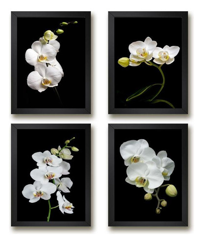 Quadros Orquídeas 45x34cm - Vidro - Madeira Branca