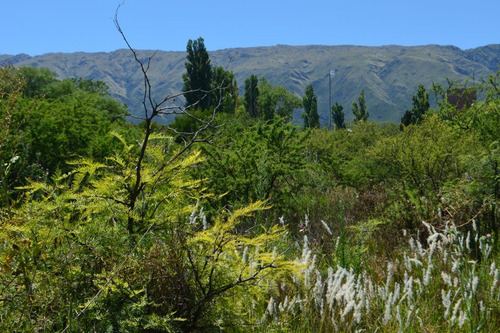 Imagen 6 de 8 de Lote De 500m2 En Los Molles