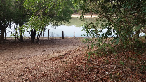 Fazenda Paraiso Dos Pescadores 47,600ha Rio Do Peixe C/ Rio Araguaia - Viuva - Nova Crixas - Go