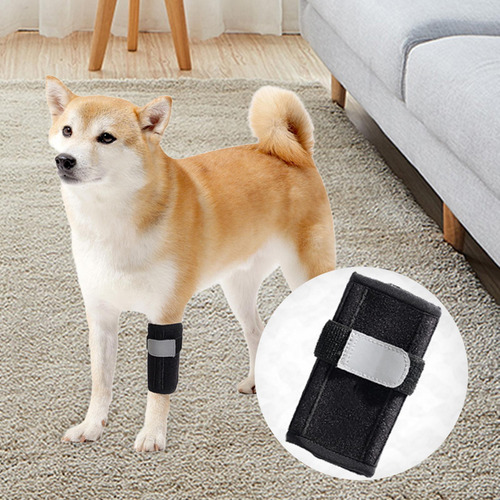 Soporte Para Patas Delanteras De Perro, Soporte Carpiano, S