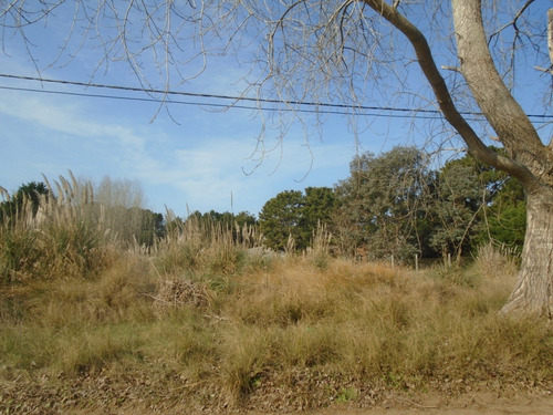 Lote 1000 Mts Del Mar En Costa Del Este . Nuevo Valor