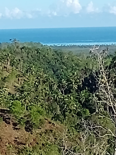 Vendo Terreno De 1,800,000 Mt2 (un Millón Ochocientos Mil Metros) En El Limón De Samaná A 35 Dólares El Metro, República Dominicana