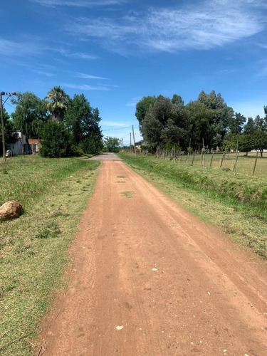 Imagen 3 de 4 de Terreno Parada Robles