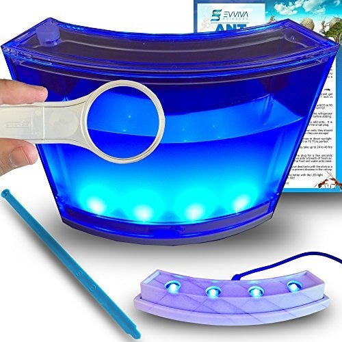 Ant Farm Con Luz Led. Disfruta De Un Magnifico Ecosistema. I