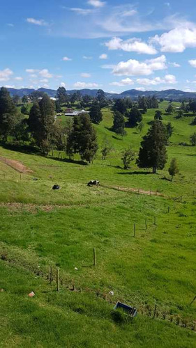 Venta Lotes En San Felix Vereda La China