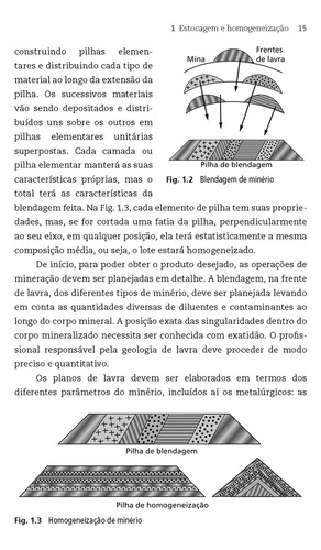 Teoria E Prática Do Tratamento De Minérios - Volume 5