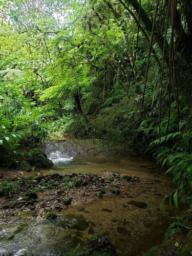 Rancho Entre Nubes Y Montañas En Cuetzalan Puebla