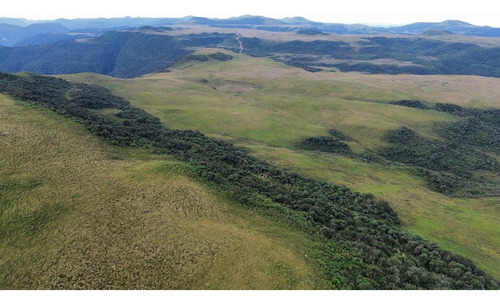 Oportunidade! 2 Hectares A Partir De R$ 99.000,00