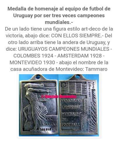 Medalla Homenaje A Los Campeones Mundiales 1930 (Usado)