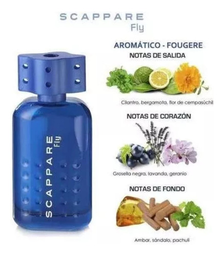Scapare Fly Colonia Para Caballero 60ml