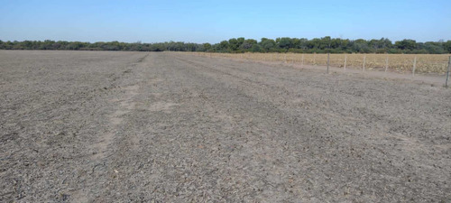 Imagen 6 de 14 de Sachayoj Campo Agrícola 1450 Hectáreas - Tope Gama