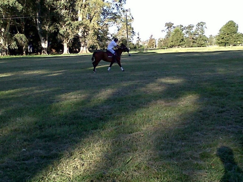 Imagen 17 de 30 de La Alborada Club De Campo - Jeppener - Lote De 1.000 M2