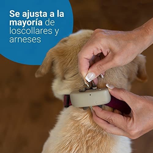 Gps Tractive Para Perros - Resistente Al Agua, Ubicac