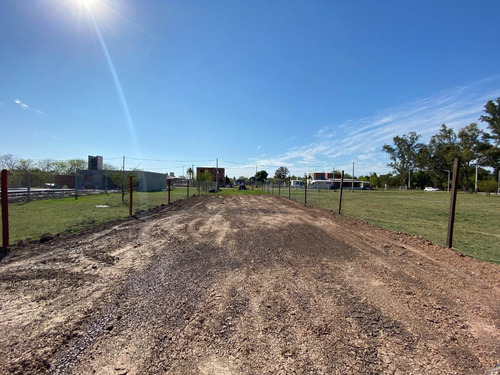 Vendo Terreno En Luis Palacios 550m2