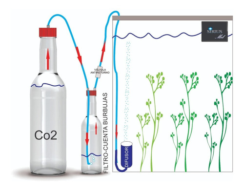 Kit Sistema Co2 Casero Acuario Pl - Unidad a $73900