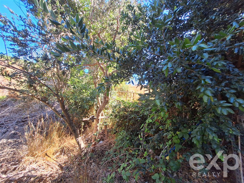 Casa En Venta De 2 Dorm. En Pichilemu