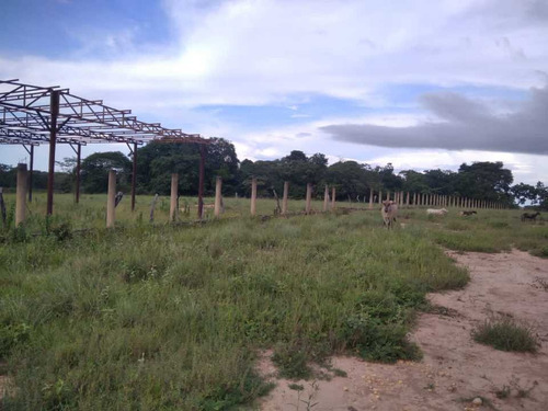 Imagen 13 de 19 de Finca De 1.410 Has En Guarico Para Actividad Agropecuaria.