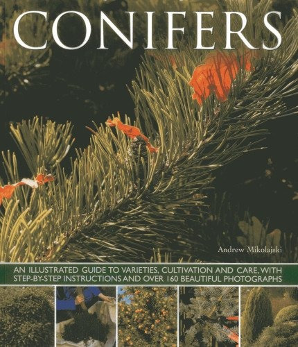 Conifers An Illustrated Guide To Varieties, Cultivation And 