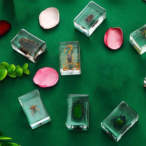 Pisapapeles De Resina Para Insectos De La Colección Cicada,