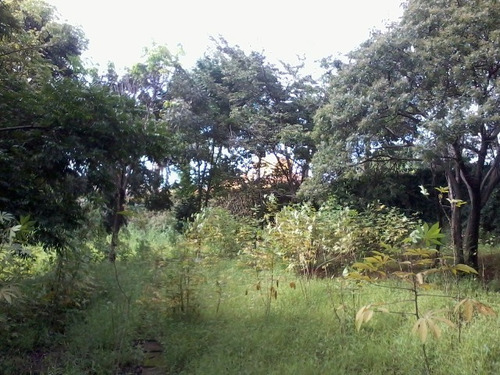 Imagem 4 de 4 de Lote - Enseada Das Garcas - Ref: 34541 - V-34541