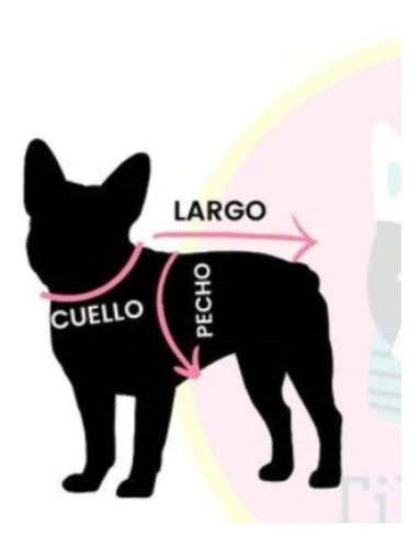 Camiseta De Quilmes Para Perros Y Gatos Talle M