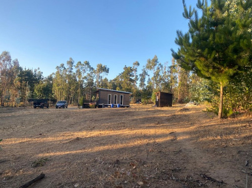 Casa Amoblada En Algarrobo Con Amplio Terreno