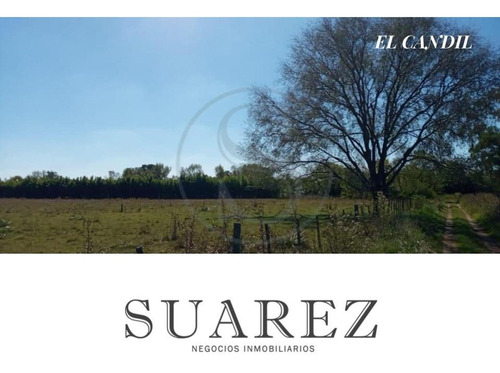 Imagen 6 de 10 de Terreno En Venta El Candil San Andres De Giles
