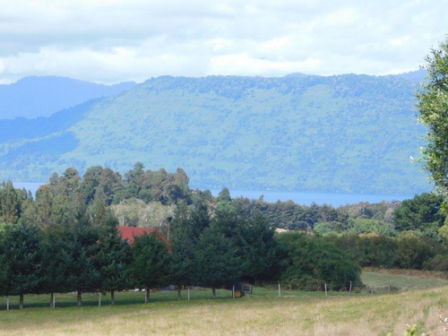 Imagen 8 de 12 de Se Vende Campo Sector Puyehue - Osorno