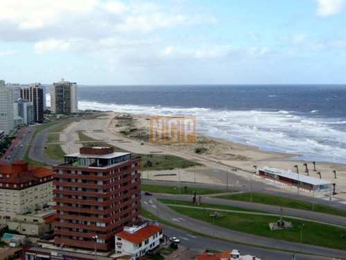 Imagen 2 de 30 de Lindisimo Departamento