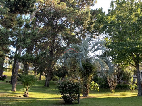 Apartamento En Arcobaleno 2 Dormitorios- Ref: 5541