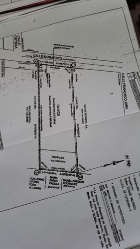 Finca Con Olvios En Polo Gastronómico Chachingo Calle Sarmiento S/n